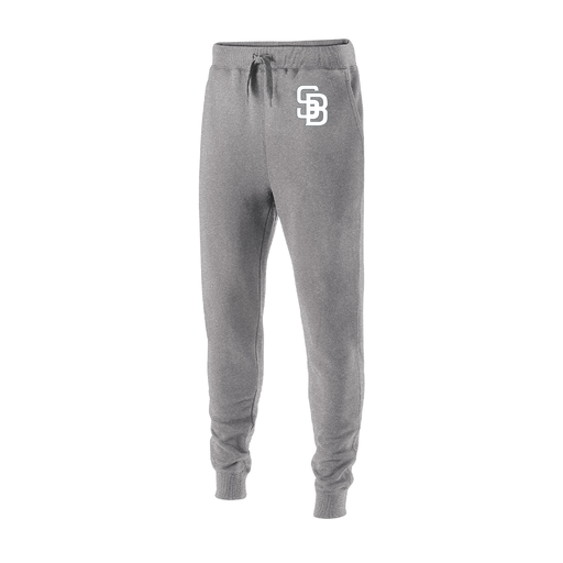 [229548.017.XS-LOGO2] Men's 60/40 Fleece Jogger (Adult XS, Silver, Logo 2)